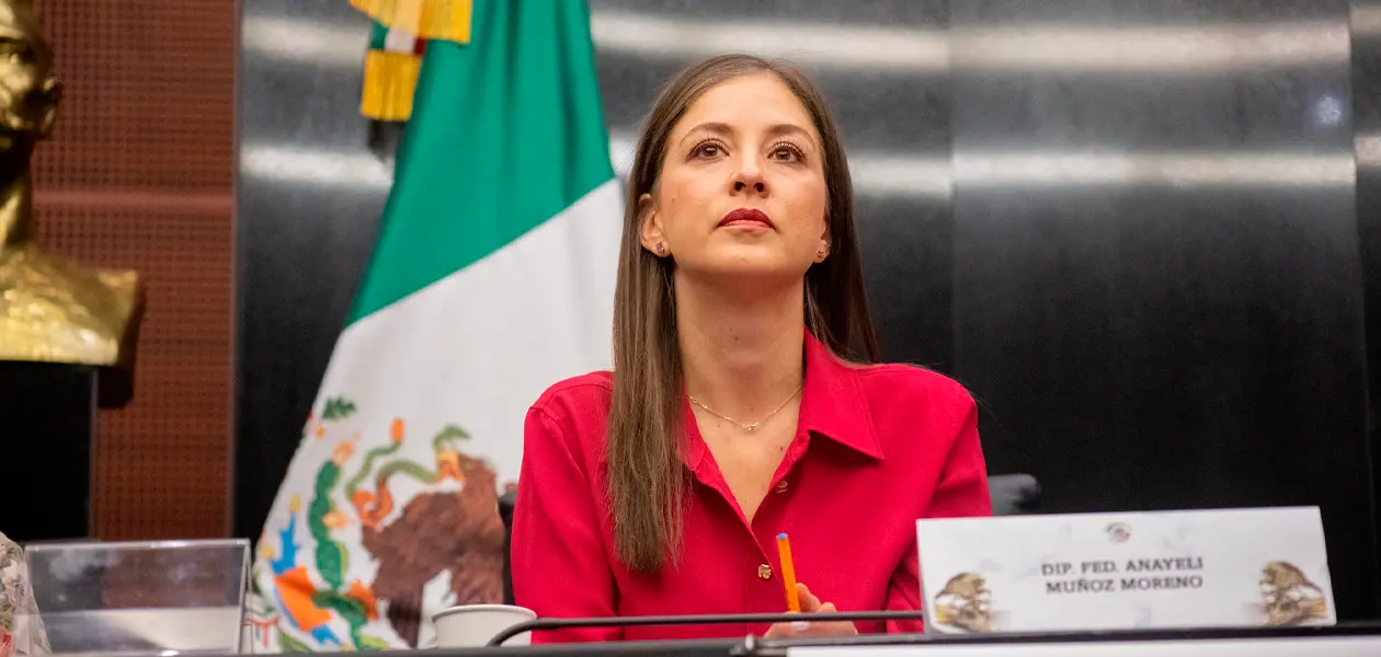 La diputada federal Anayeli Muñoz. Foto: JLMNoticias / Anayeli Muñoz.