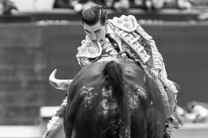 Decidido en todo momento se mostró Bruno Aloi en su última actuación novilleril en Madrid. (Fotos: Juanelo y Plaza 1)
