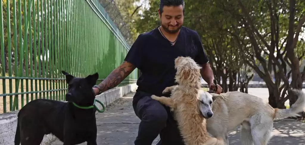Día mundial del animal Fotografía de El Universal