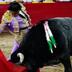 Diego San Román se inventó una faena que parecía no tener ante este. Ha estado que sacó buen fondo después de los cuidados que le dio el joven torero. Foto: JLMNoticias / Especial / Memo Leal.