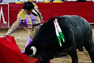 Diego San Román se inventó una faena que parecía no tener ante este. Ha estado que sacó buen fondo después de los cuidados que le dio el joven torero. Foto: JLMNoticias / Especial / Memo Leal.