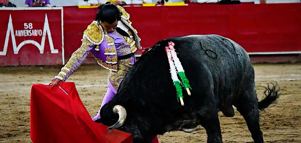 Diego San Román se inventó una faena que parecía no tener ante este. Ha estado que sacó buen fondo después de los cuidados que le dio el joven torero. Foto: JLMNoticias / Especial / Memo Leal.
