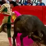 Ernesto Javier Tapia “El Calita” estuvo extraordinario toreando de capa al toro de Villa Carmela que se despitorró. Fotos: JLMNoticias / GL / GP.