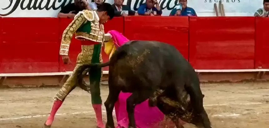 Ernesto Javier Tapia “El Calita” estuvo extraordinario toreando de capa al toro de Villa Carmela que se despitorró. Fotos: JLMNoticias / GL / GP.