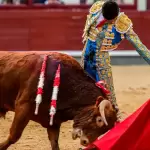 Ignacio Garibay consiguió con su novillo del debut muletazos de clase y temple. Foto: JLMNoticias / Plaza 1.