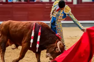 Ignacio Garibay consiguió con su novillo del debut muletazos de clase y temple. Foto: JLMNoticias / Plaza 1.