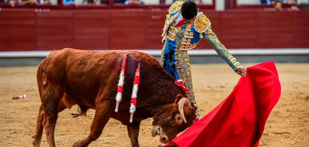 Ignacio Garibay consiguió con su novillo del debut muletazos de clase y temple. Foto: JLMNoticias / Plaza 1.