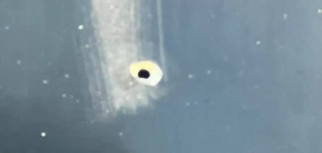 Impactos de bala al camión de la banda de Jerez