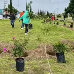 Aguascalientes concluyó la campaña “Árboles Fuertes, Huellas Gigantes 2025” con más de 125 mil árboles sembrados y una meta de 500 mil en la actual gestión.