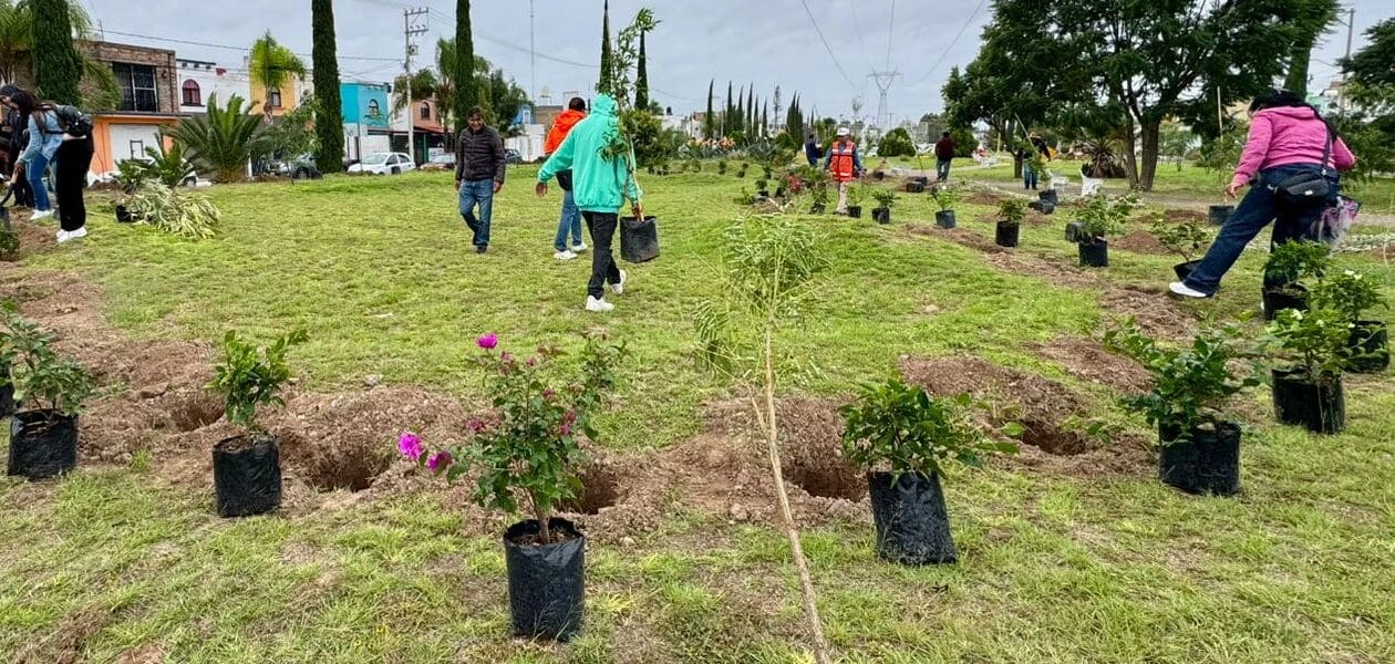 Aguascalientes concluyó la campaña “Árboles Fuertes, Huellas Gigantes 2025” con más de 125 mil árboles sembrados y una meta de 500 mil en la actual gestión.