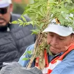 Aguascalientes plantó más de 125 mil árboles en 2025, un aumento del 17.9%. La meta estatal es alcanzar 500 mil durante la actual administración.