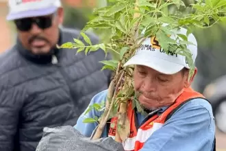 Aguascalientes plantó más de 125 mil árboles en 2025, un aumento del 17.9%. La meta estatal es alcanzar 500 mil durante la actual administración.