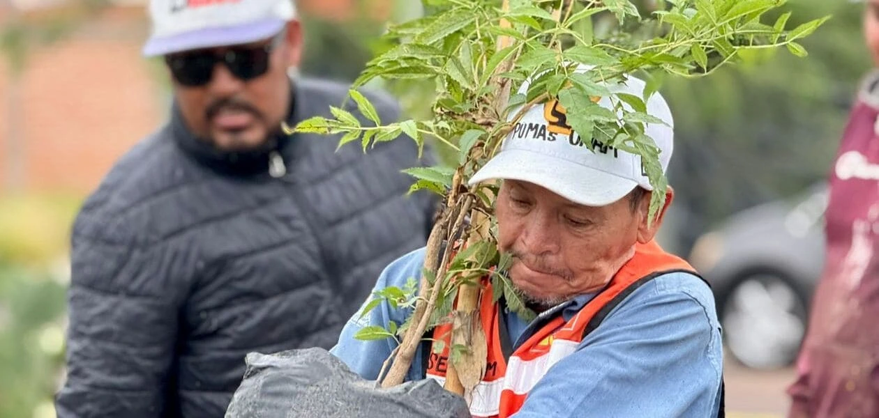Aguascalientes plantó más de 125 mil árboles en 2025, un aumento del 17.9%. La meta estatal es alcanzar 500 mil durante la actual administración.