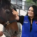 El DIF Estatal de Aguascalientes amplía su servicio de equinoterapia con caballos donados por la Sedena, beneficiando a niñas y niños con discapacidad.
