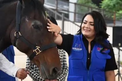 El DIF Estatal de Aguascalientes amplía su servicio de equinoterapia con caballos donados por la Sedena, beneficiando a niñas y niños con discapacidad.