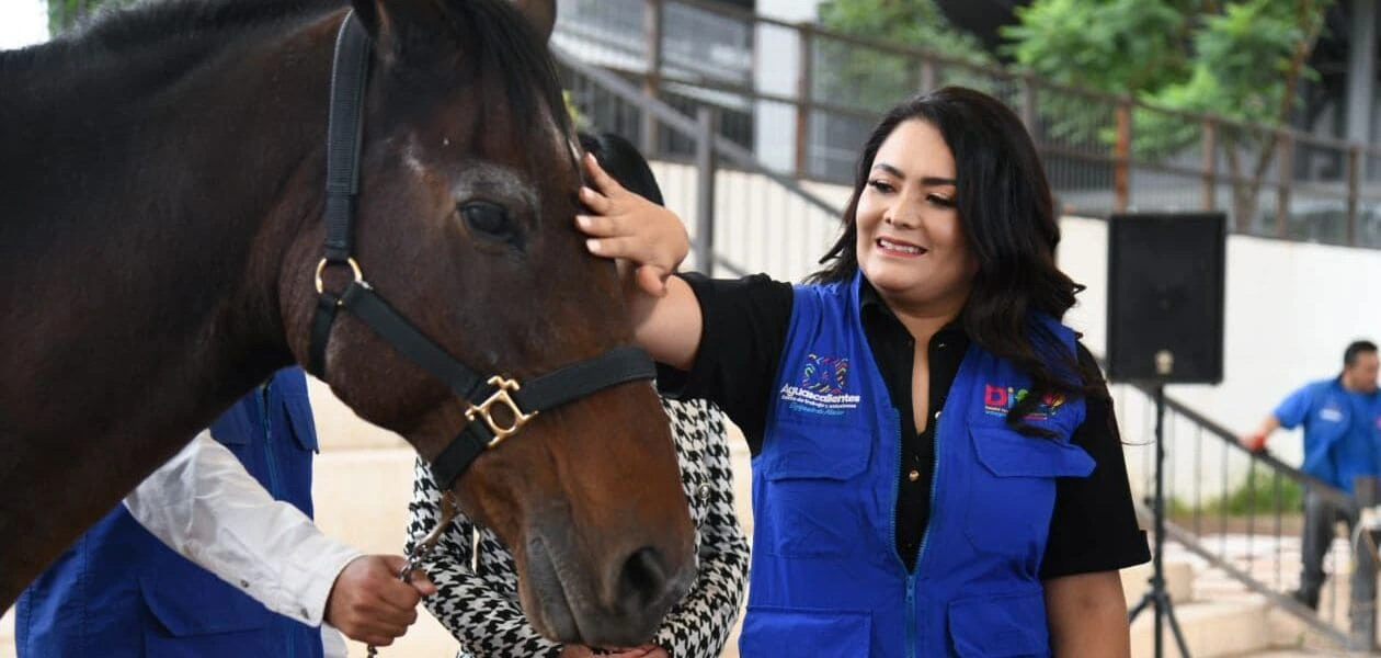 El DIF Estatal de Aguascalientes amplía su servicio de equinoterapia con caballos donados por la Sedena, beneficiando a niñas y niños con discapacidad.