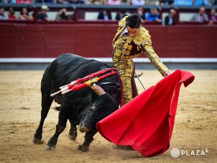“El Mene” tuvo momentos de importante toreo al natural que fueron aplaudidos por el público.