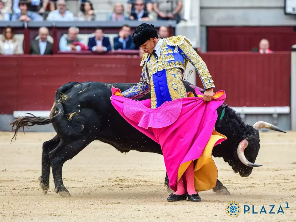 Pedro Luis, otro de los alternantes, logró emocionar con el capote en un quite por chicuelinas.