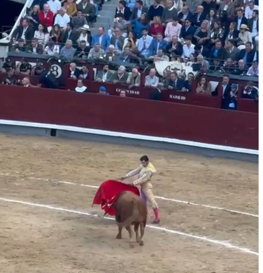 WhatsApp Image 2025 10 12 at 12.21.08 PM