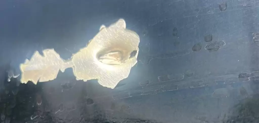 Impactos de bala al camión de la banda de Jerez