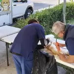 Aguascalientes esterilizaciones