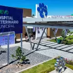 Aguascalientes hospital veterinario municipal