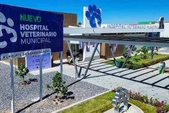 Aguascalientes hospital veterinario municipal