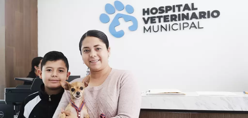 Aguascalientes hospital veterinario