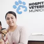 Aguascalientes hospital veterinario