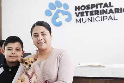 Aguascalientes hospital veterinario