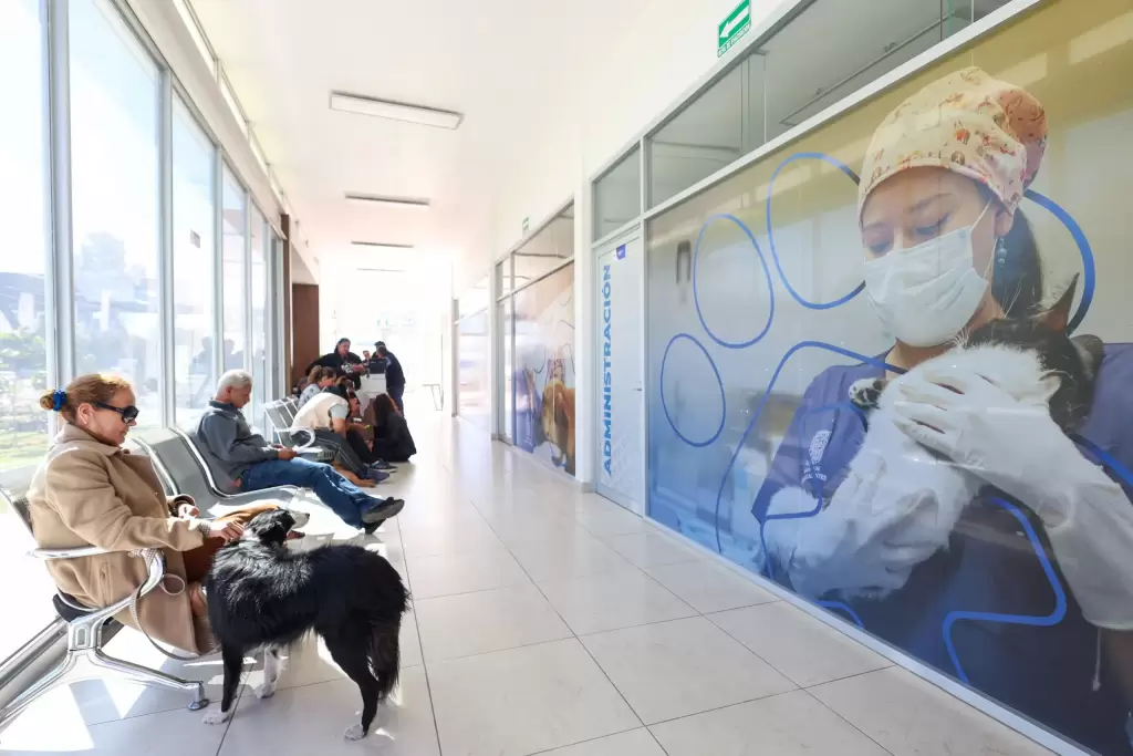 Aguascalientes hospital veterinario municipal 2025 2