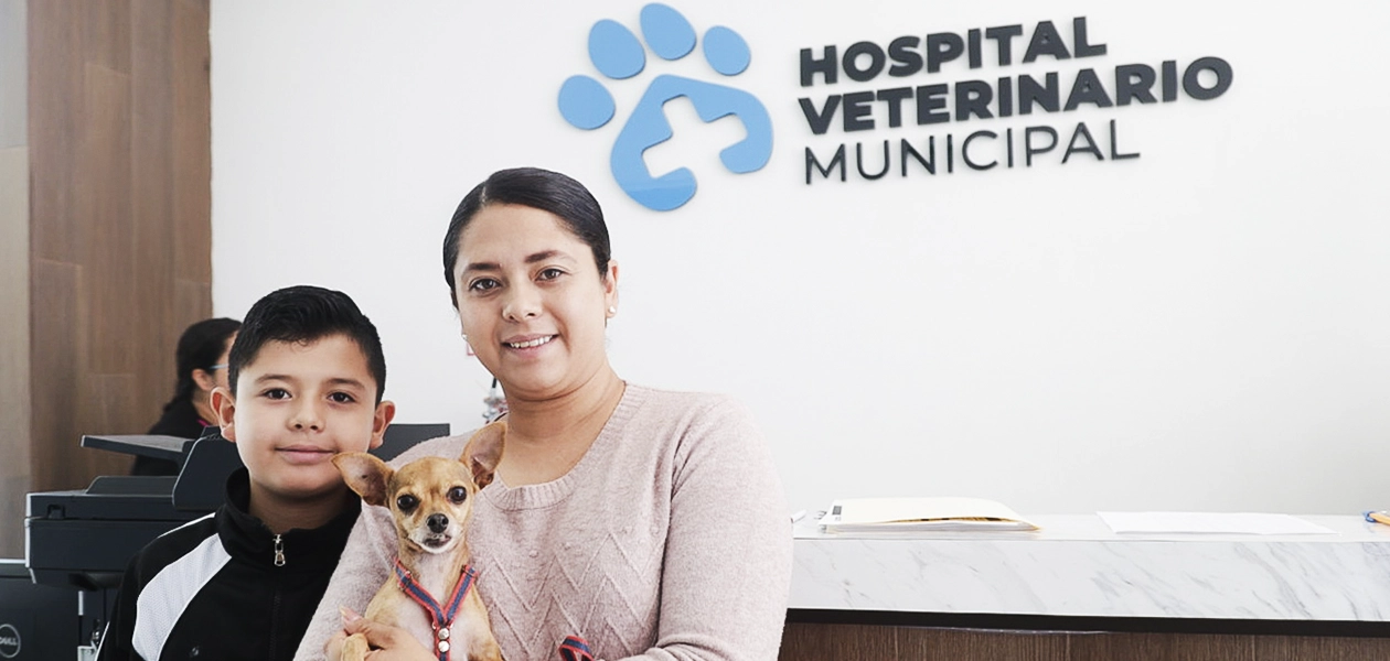 Aguascalientes hospital veterinario
