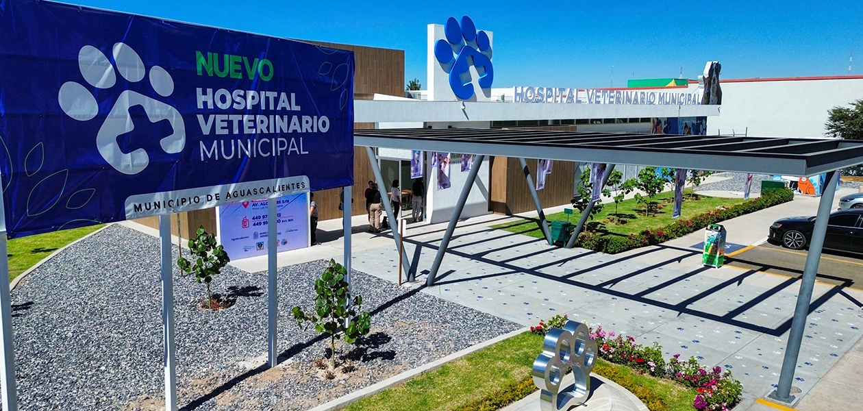 Aguascalientes hospital veterinario municipal