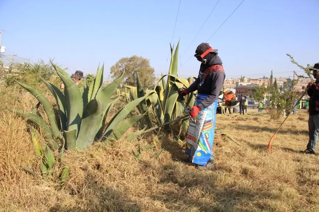 Aguascalientes limpieza