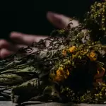 Foto artística ilustrativa a una muerte. ¿De qué murieron los mexicanos durante 2024? El Inegi presentó los datos. Foto: JLMNoticias / Unspash.