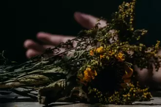 Foto artística ilustrativa a una muerte. ¿De qué murieron los mexicanos durante 2024? El Inegi presentó los datos. Foto: JLMNoticias / Unspash.