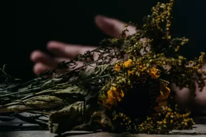 Foto artística ilustrativa a una muerte. ¿De qué murieron los mexicanos durante 2024? El Inegi presentó los datos. Foto: JLMNoticias / Unspash.