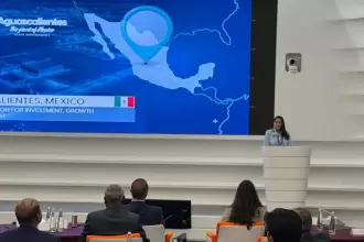 Tere Jiménez presenta a Aguascalientes como destino de inversión durante reunión con empresarios en la India
