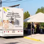 Quirófano veterinario Aguascalientes