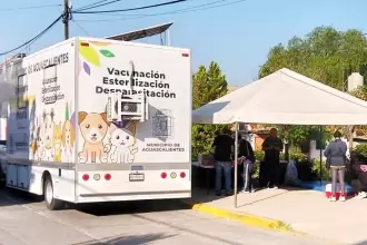 Quirófano veterinario Aguascalientes