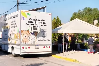 Quirófano veterinario Aguascalientes