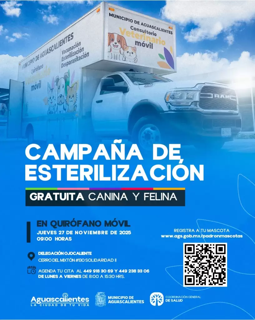Quirófano veterinario Aguascalientes jueves