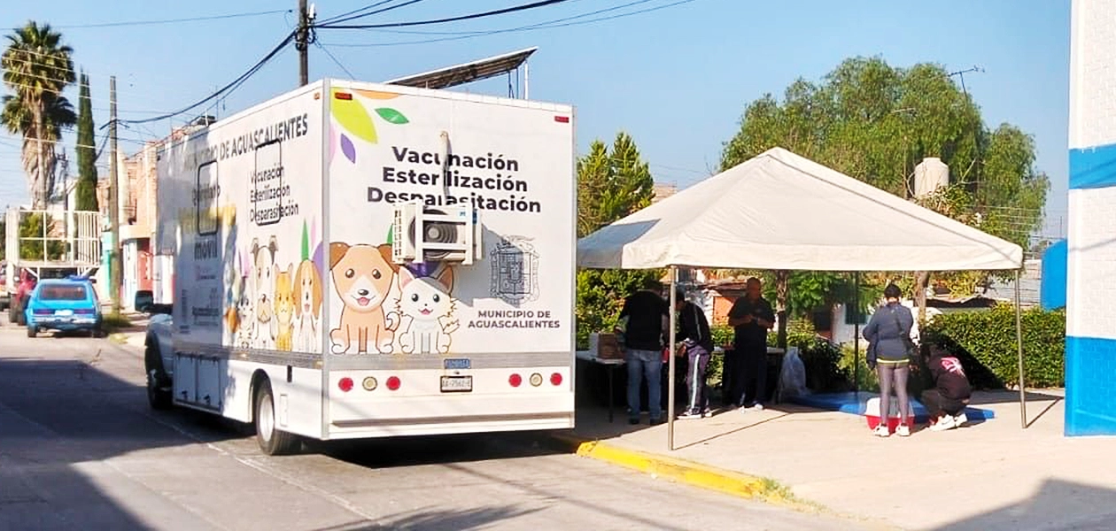 Quirófano veterinario Aguascalientes