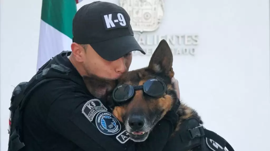 Cinco héroes K9 de la SSPE se jubilan con honores en Aguascalientes tras años de servicio ejemplar y un emotivo reconocimiento.