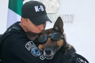 Cinco héroes K9 de la SSPE se jubilan con honores en Aguascalientes tras años de servicio ejemplar y un emotivo reconocimiento.