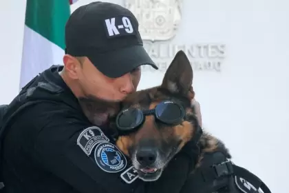 Cinco héroes K9 de la SSPE se jubilan con honores en Aguascalientes tras años de servicio ejemplar y un emotivo reconocimiento.