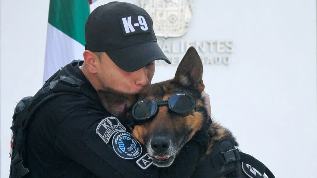 Cinco héroes K9 de la SSPE se jubilan con honores en Aguascalientes tras años de servicio ejemplar y un emotivo reconocimiento.