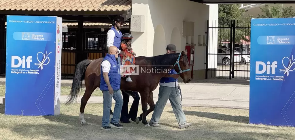 equinoterapia sesion DIF.