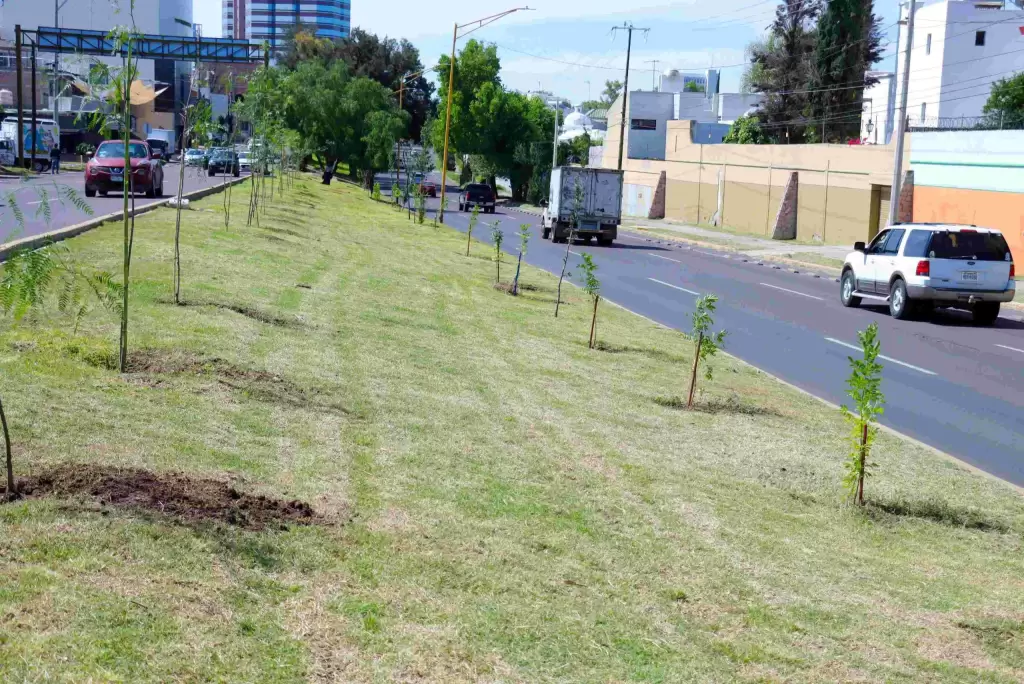 Aguascalientes JLMNoticias 2