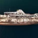 Fotografía que marcó al mundo: la imagen que resume un año de crisis y resistencia